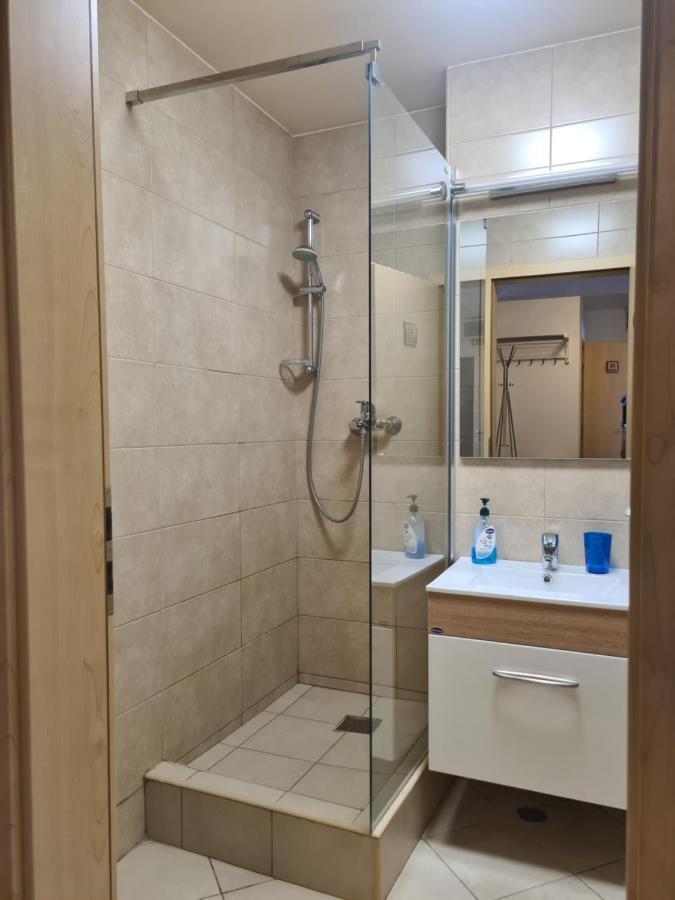 Old Square Apartments 5 ティミショアラ エクステリア 写真