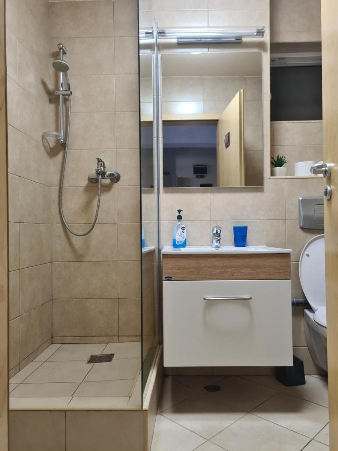 Old Square Apartments 5 ティミショアラ エクステリア 写真